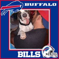 Clayton Cowell's profile image