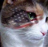 Roxann Cooper's profile image
