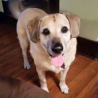 Jeff Quinton's profile image