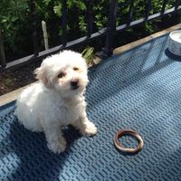 Nancy McCron's profile image