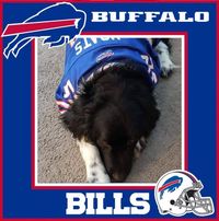 Theresa Busch Motz's profile image