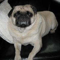 Kathleen A Stelter's profile image