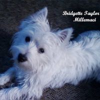 Deborah K Millemaci's profile image