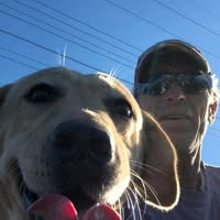 Rich Hammond's profile image