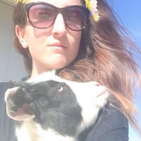 Traci Trowbridge's profile image