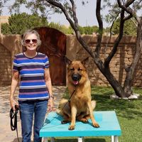 Sally Wistrand's profile image