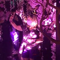 Cheryl Sullivan's profile image