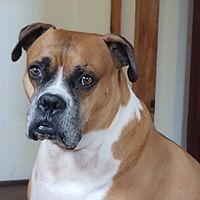 Tim McKee's profile image