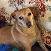 Sue Reier's profile image