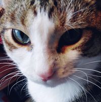 Tammy Cano-Cata's profile image