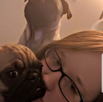 Amy Rondeau's profile image