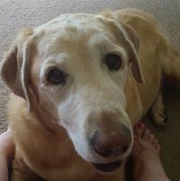 Megan Hackbarth's profile image