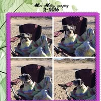 Angela Bathrick's profile image