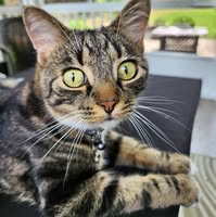 Eileen Sojda's profile image
