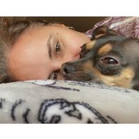 Angelique Dellipiani D'vore Kulmac's profile image