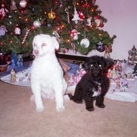 Margie Anderson's profile image