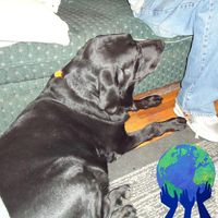 Kevin Curtis's profile image