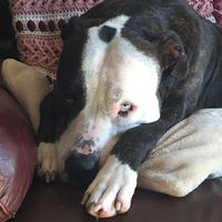 Mary Langan's profile image