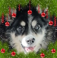 Kelly Lindsay's profile image