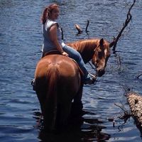 Nicole Modugno's profile image