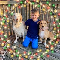 Kristy Godfrey's profile image