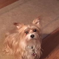 Reesa Hedrick's profile image