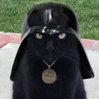 Marti Brauer's profile image