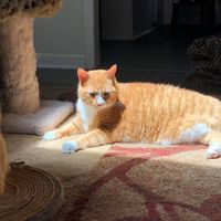 Wendy Russ Beasley's profile image
