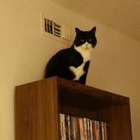 Rho Cooley's profile image