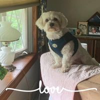 Patty Marino's profile image