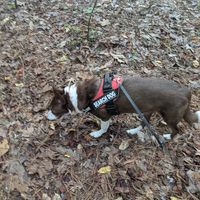 Donna M Randolph's profile image