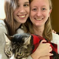 Kristen Ann Connelly's profile image