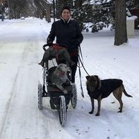 Kim Cline's profile image