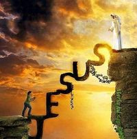 Lynne AZ's profile image