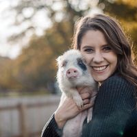 Corinne Alivia Swarthout's profile image