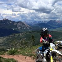 Tara Morey's profile image