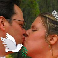 Jennifer Wright's profile image