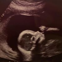 Hayden Downs's profile image