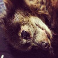Derek Gress's profile image