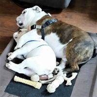 Cindi Eilers's profile image