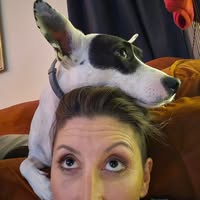Aly Hag's profile image