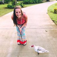 Gina Farinella's profile image