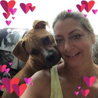 Cynthia Hayden's profile image