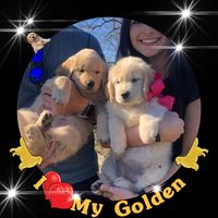 Melanie Swaine's profile image