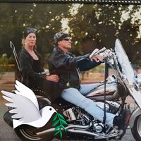 Lisa Howard's profile image