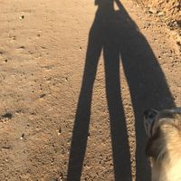 Heather McCallum's profile image