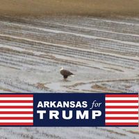 Joy Moser Johnson's profile image