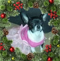 Sylvia Bise's profile image