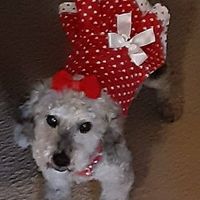 Bonnie Swank's profile image