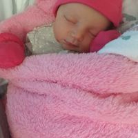 Debora Estlick's profile image
